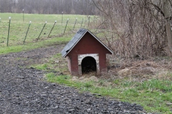 Abandoned Dog House